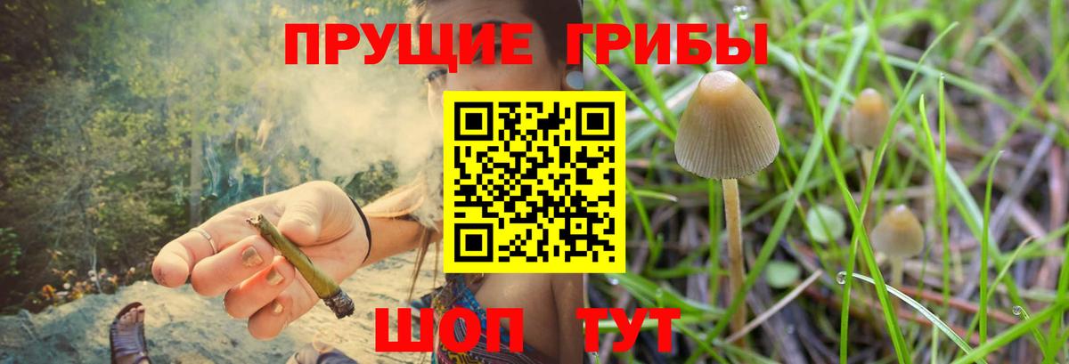 Галлюциногенные грибы GOLDEN TEACHER  Вход с VPN  Вичуга 